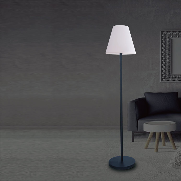 Hokku Designs Apenai 67'' Coated Traditional Floor Lamp with Outlet